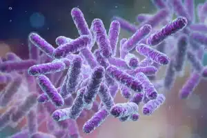 Uji Enterobacteriaceae