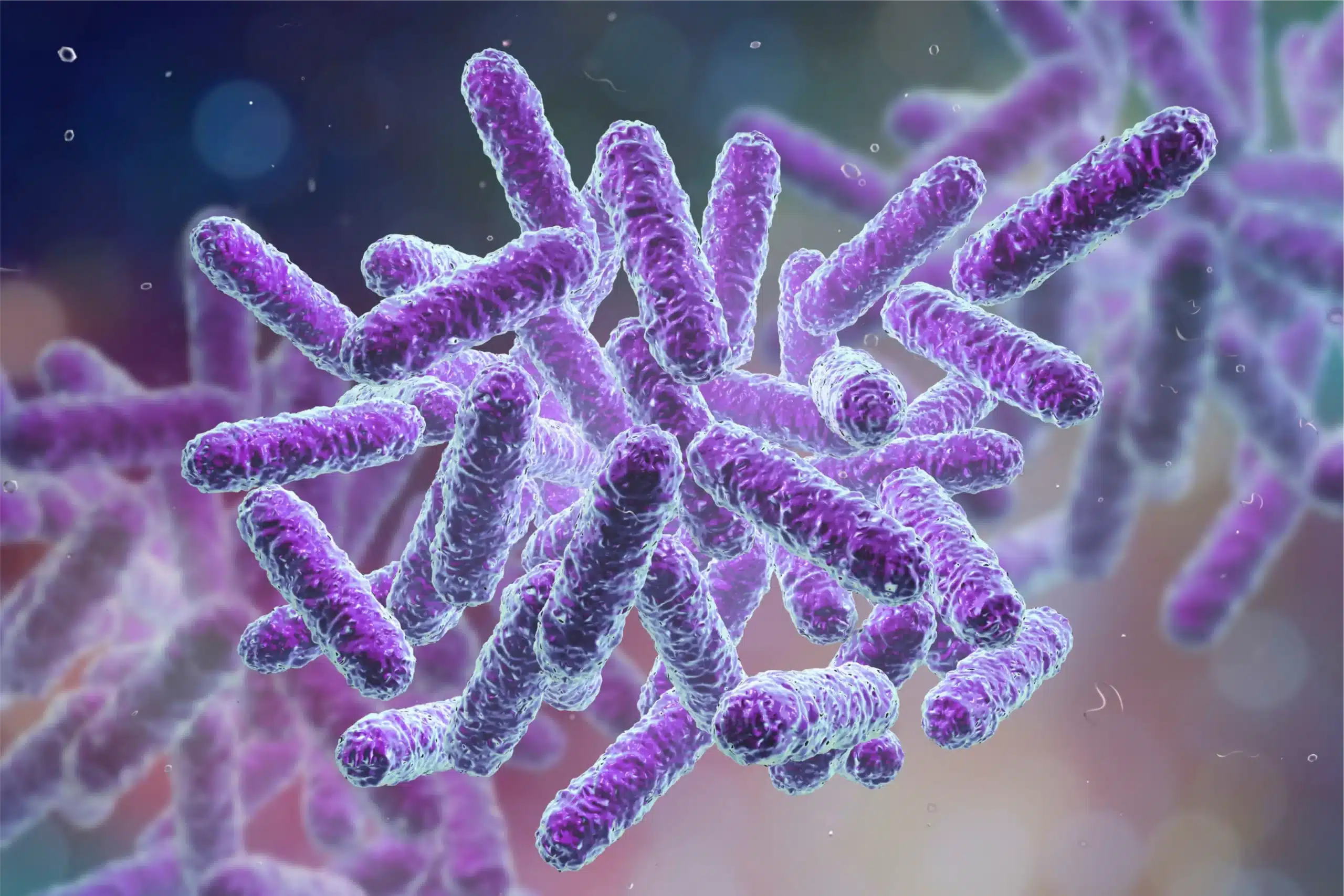 Uji Enterobacteriaceae